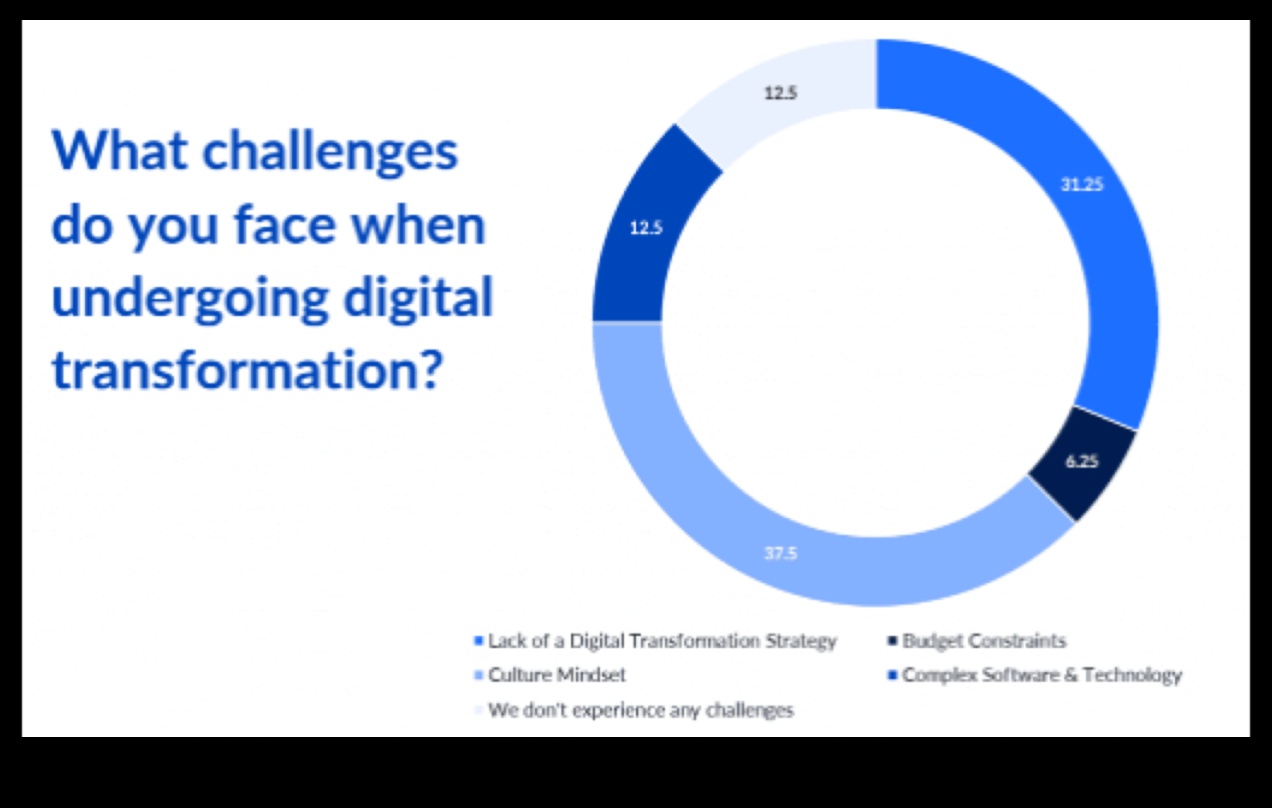 Arhitectul de influență: construirea bazelor pentru triumful digital