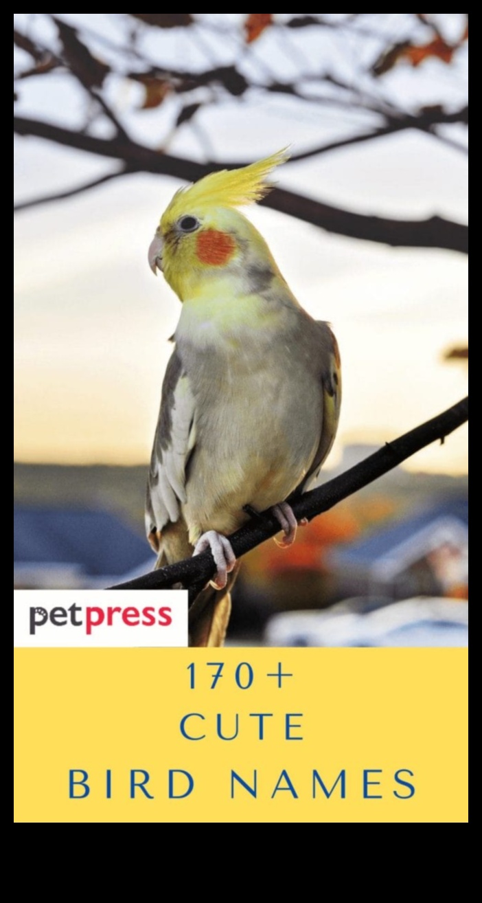 Chirpy Charms: Nume de bebeluși inspirate de păsări pentru micile tweets