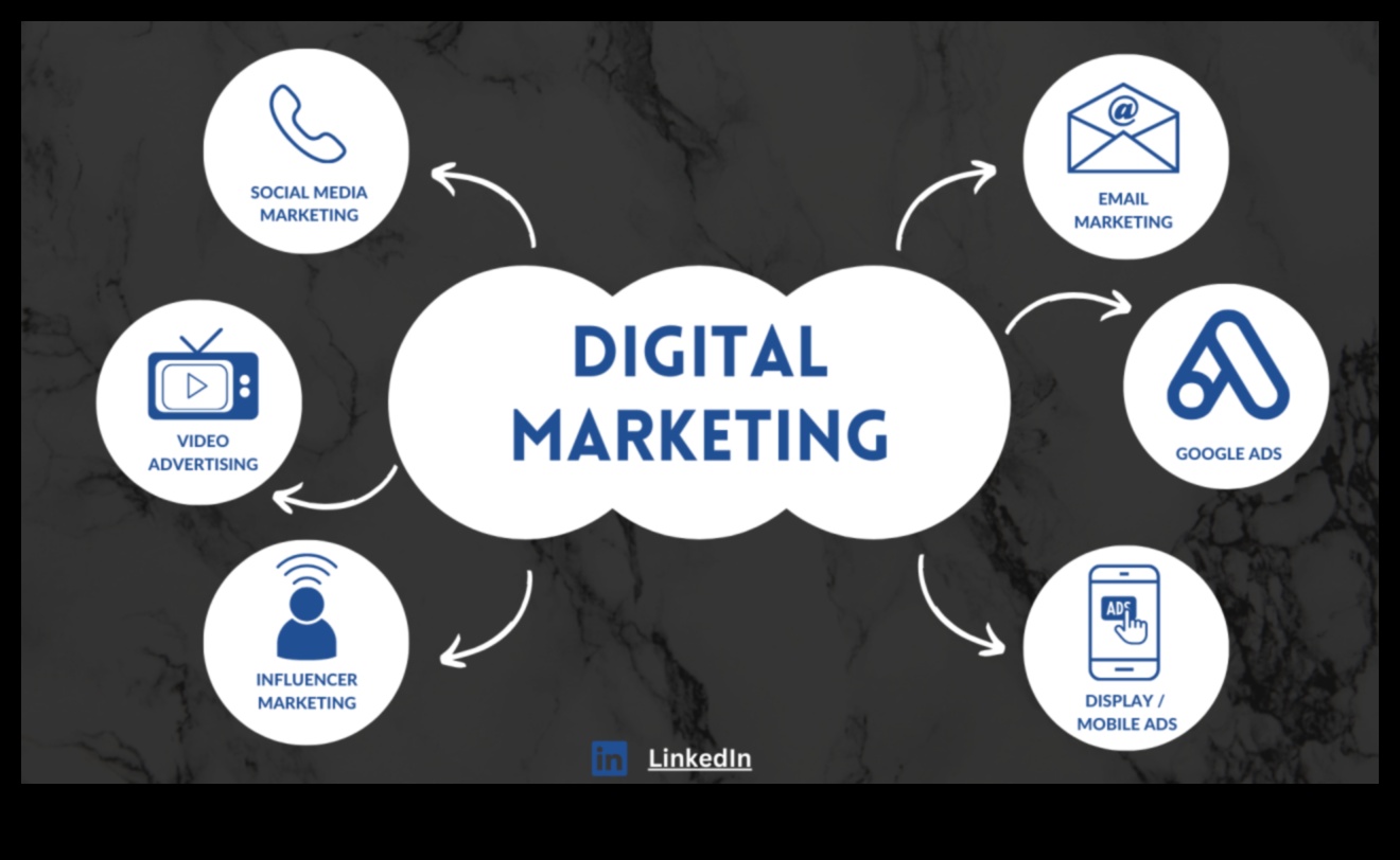 Descoperirea digitală: Dezvăluirea succesului în peisajul rețelelor sociale