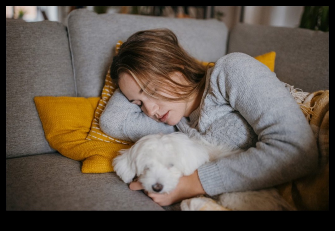 Naptime Nectar: ​​Crearea somnului perfect de după-amiază