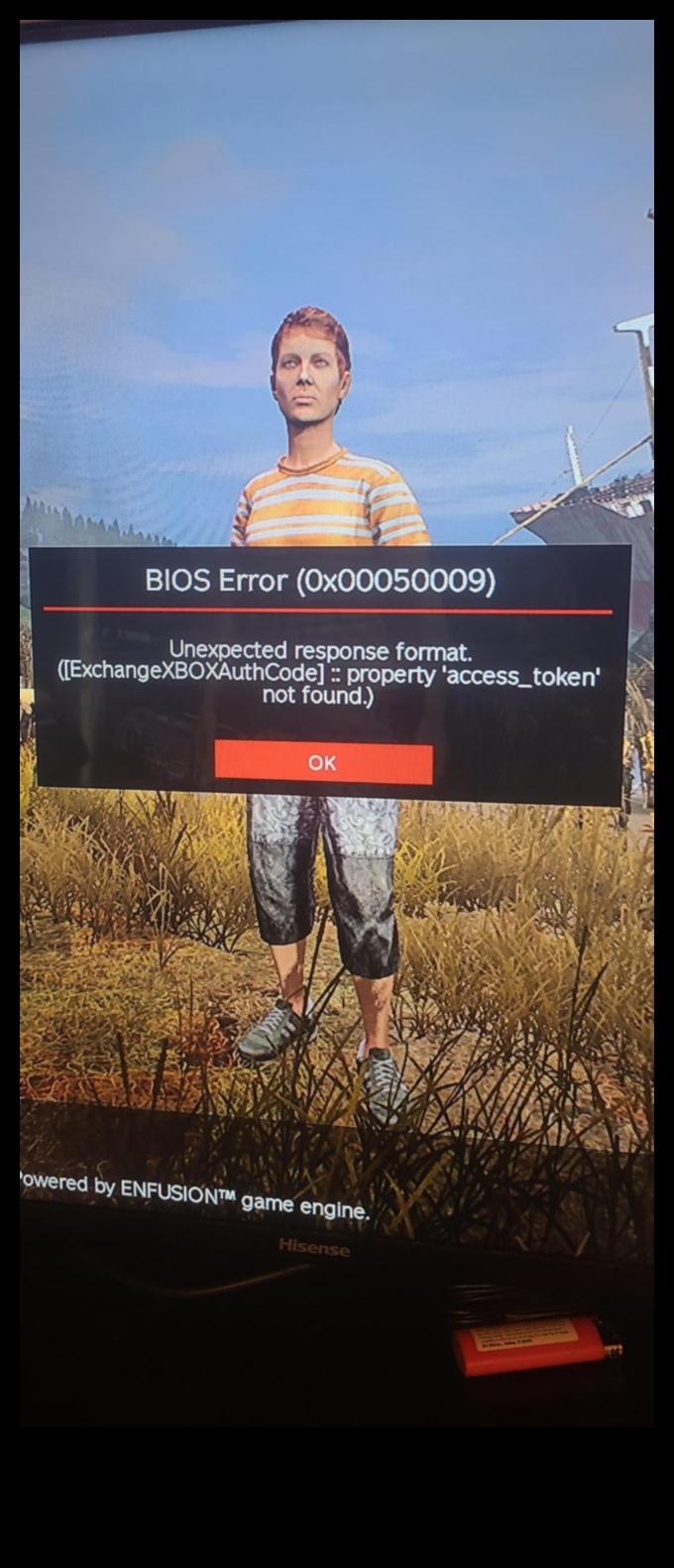 Răspunsuri neașteptate Ce trebuie făcut atunci când formatul este greșit 4 Blues de iarnă? Meșteșuguri de bricolaj pentru a învinge declinul din vremea rece