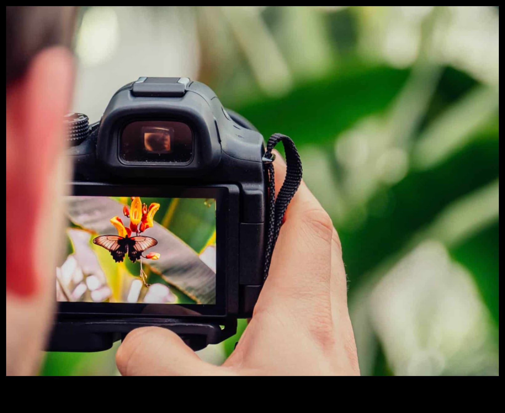 Pânză digitală: ridicați-vă meșteșugul în arta fotografiei