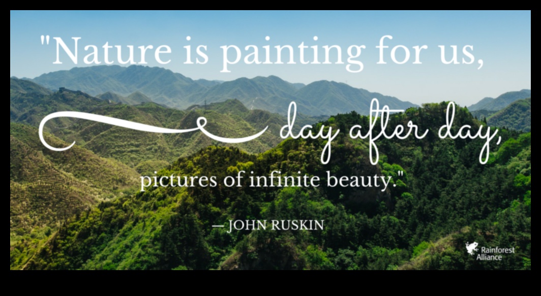 Frumusețea infinită a naturii 2 Frumusețe infinită: orizonturi nesfârșite și peisaje în continuă schimbare