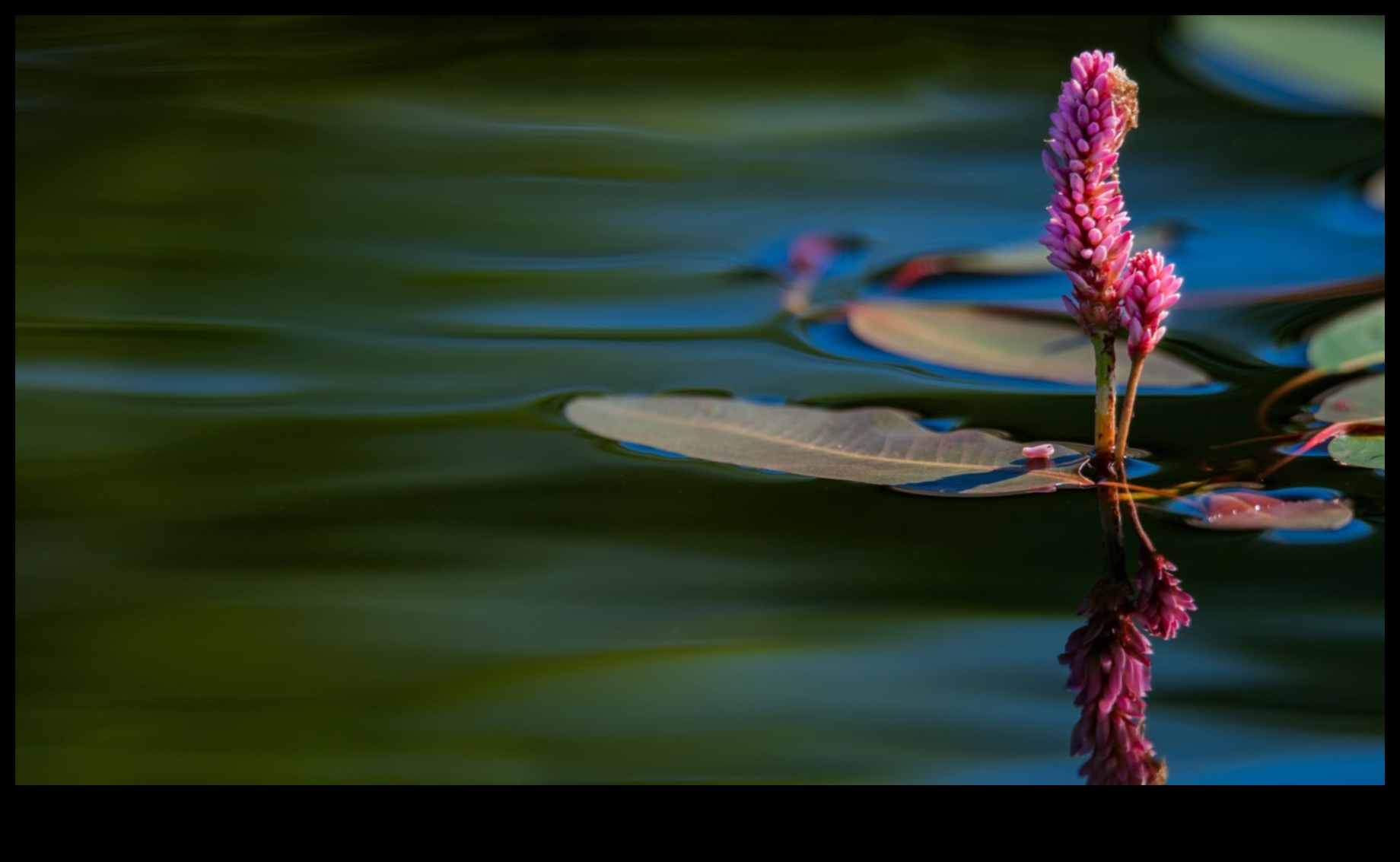 Surprinderea frumuseții lumii naturale 3 Unde frumusețea se întâlnește cu Pământul: Ochelari de peisaj