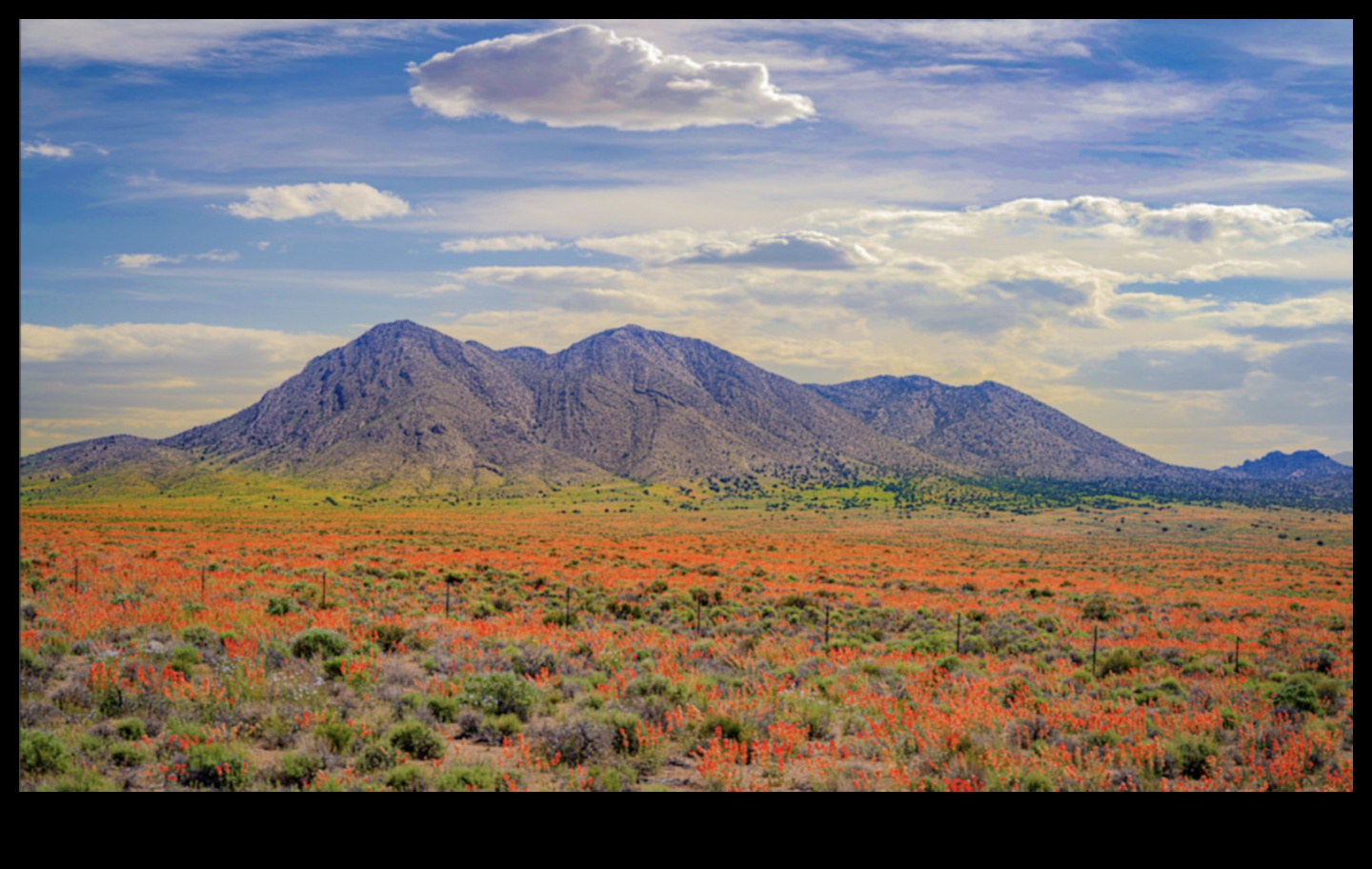 Surprinderea frumuseții lumii naturale 2 Unde frumusețea se întâlnește cu Pământul: Ochelari de peisaj