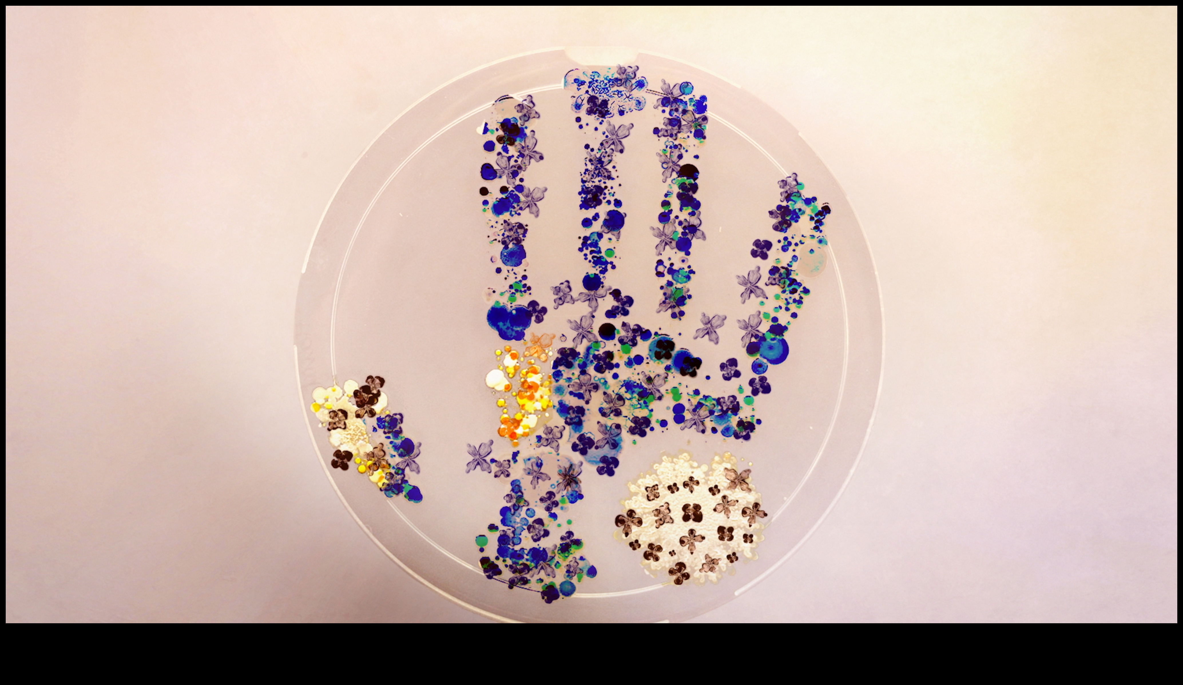 Marginea minunilor 5 Water's Edge: Unde se întâlnesc pământul și viața acvatică