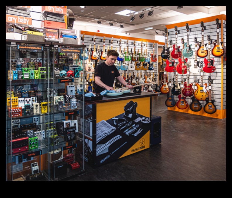 Accesorii de bricolaj pentru iubitorii de muzică: Omagiu mestecat pentru Melody