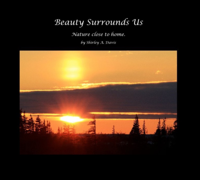 Peisaje dinamice în mișcare: frumusețea în continuă schimbare a naturii