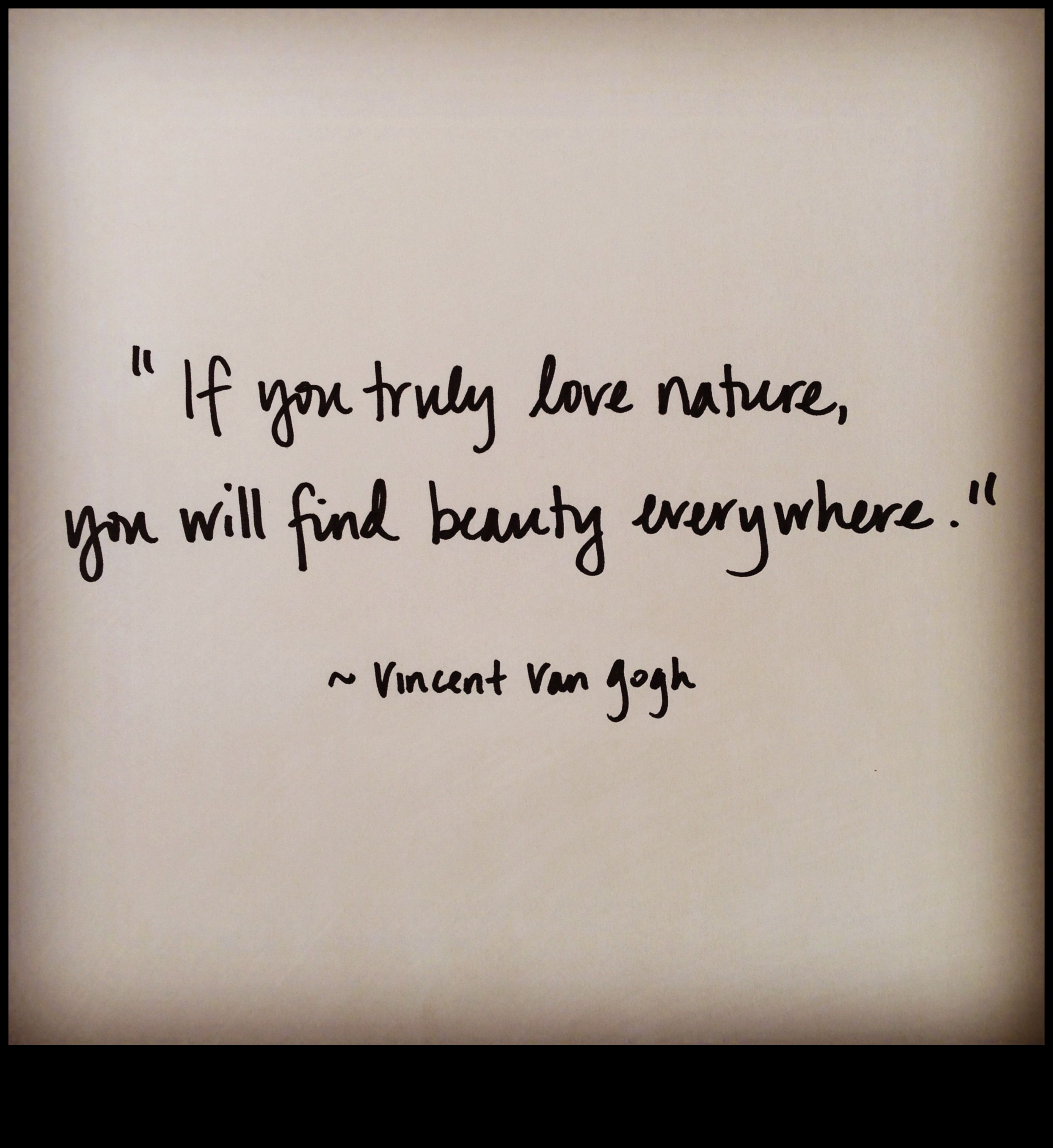 Peisaje dinamice în mișcare: frumusețea în continuă schimbare a naturii