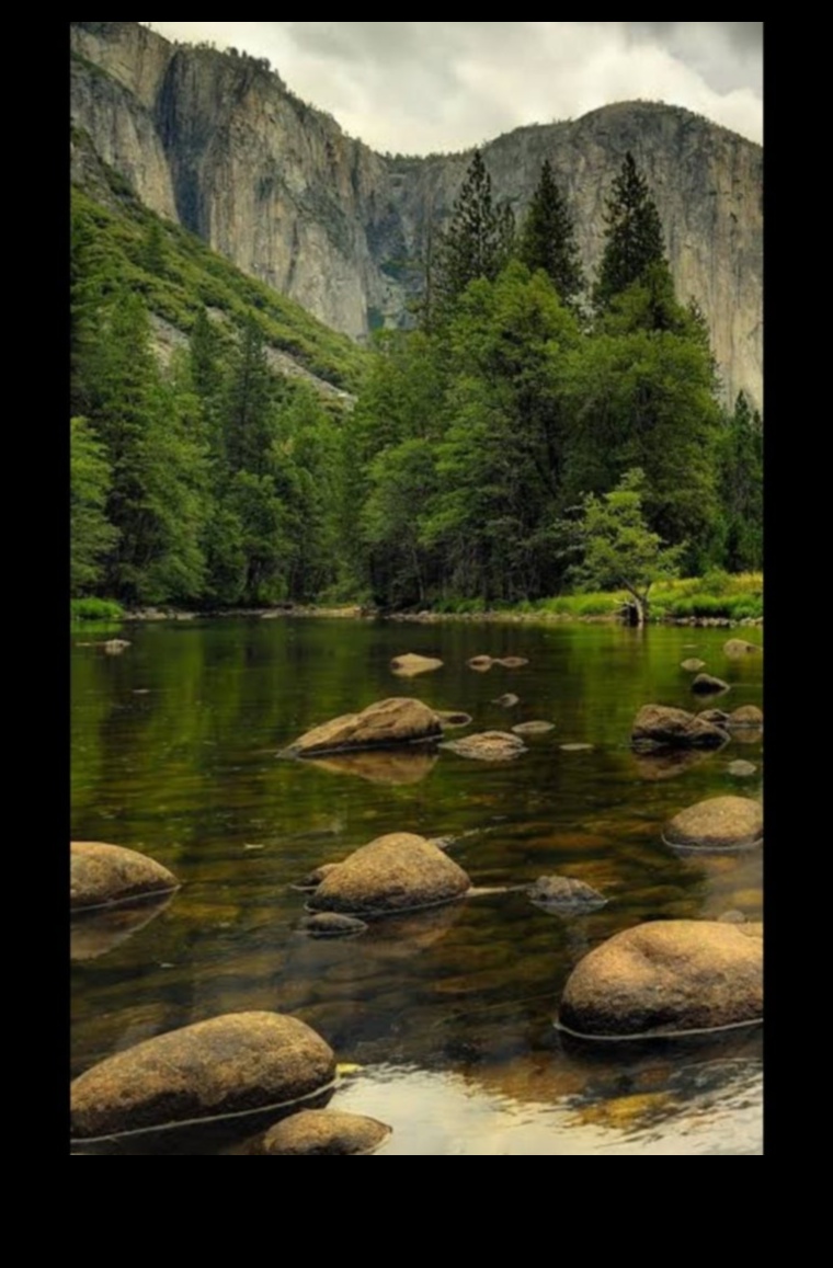 Peisaje dinamice în mișcare: frumusețea în continuă schimbare a naturii