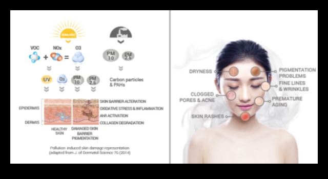 Cum poluarea mediului îți distruge pielea (și ce poți face în privința ei) 4 Impactul poluării mediului asupra pielii tale: protejează-ți tenul
