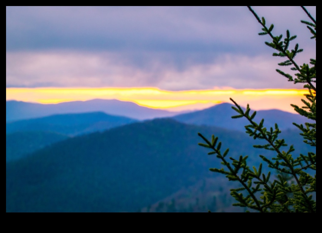 Creșteți-vă abilitățile de fotografiere cu Seria 5 de tutoriale avansate de la Digital Dexterity Dexteritate digitală: Seria de tutoriale avansate de fotografie