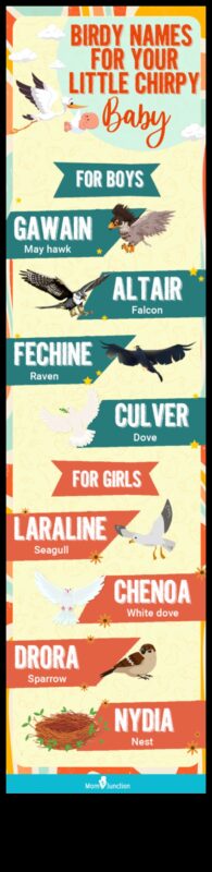 Chirpy Charms: Nume de bebeluși inspirate de păsări pentru micile tweets