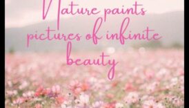 Frumusețea infinită a naturii 6 Frumusețe infinită: orizonturi nesfârșite și peisaje în continuă schimbare