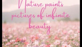 Frumusețe infinită: orizonturi nesfârșite și peisaje în continuă schimbare