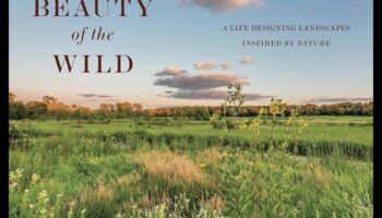 Minunile sălbatice: peisaje dincolo de imaginație