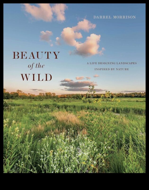 Minunile sălbatice: peisaje dincolo de imaginație