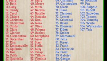 Jubilant Jingles: Nume festive și vesele pentru bebeluși