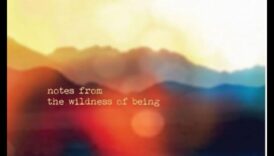 Water's Edge: Unde se întâlnesc pământul și viața acvatică