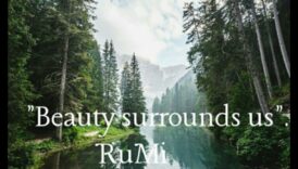 Peisaje dinamice în mișcare: frumusețea în continuă schimbare a naturii