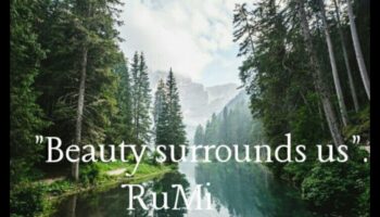 Peisaje dinamice în mișcare: frumusețea în continuă schimbare a naturii