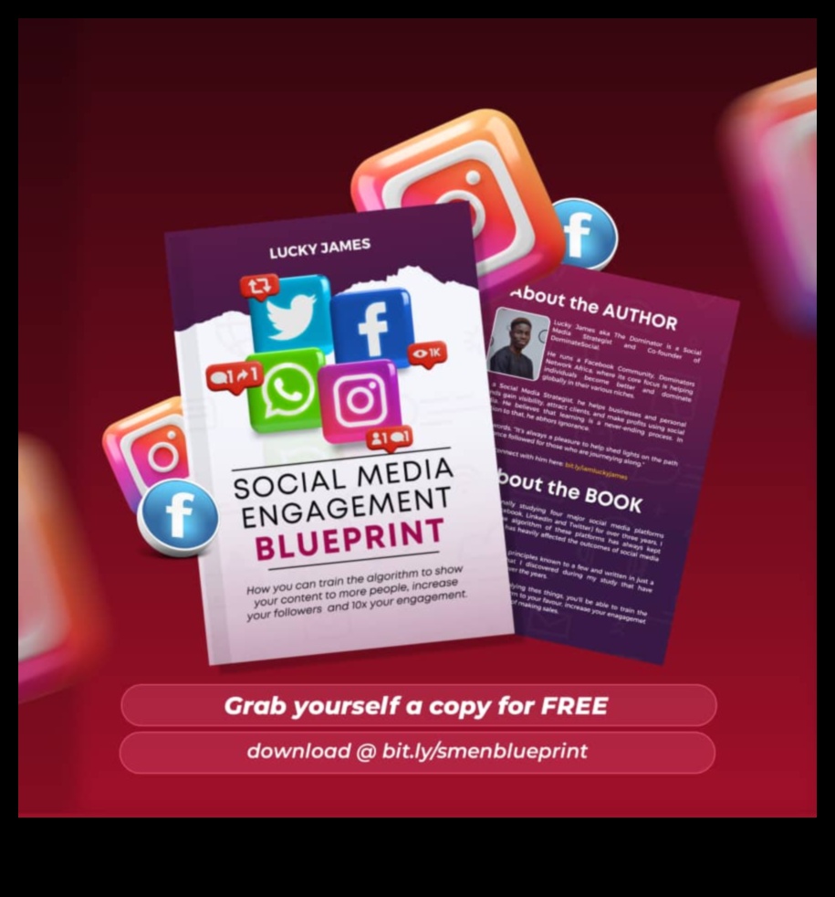 Stăpânirea spațiului social: un model pentru implicarea digitală